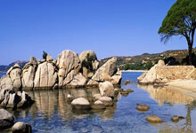 开云下载-TL绝杀FPX，Crisp操刀奇招英雄翻盘小组赛3:2