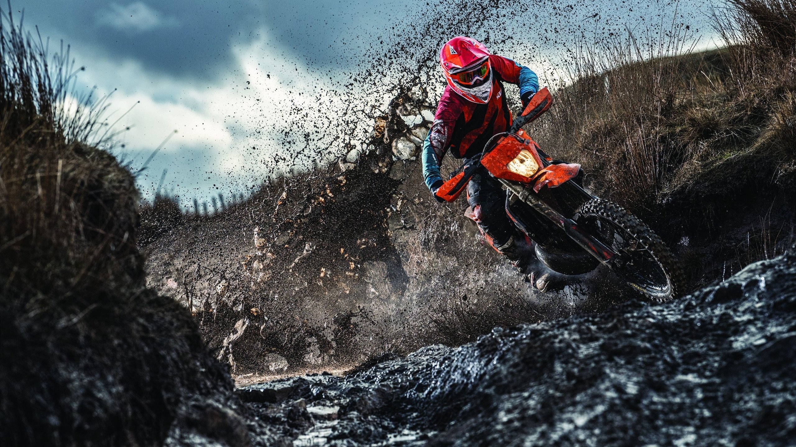 开云体育平台APP-赛道与球场，压力下的爆发艺术